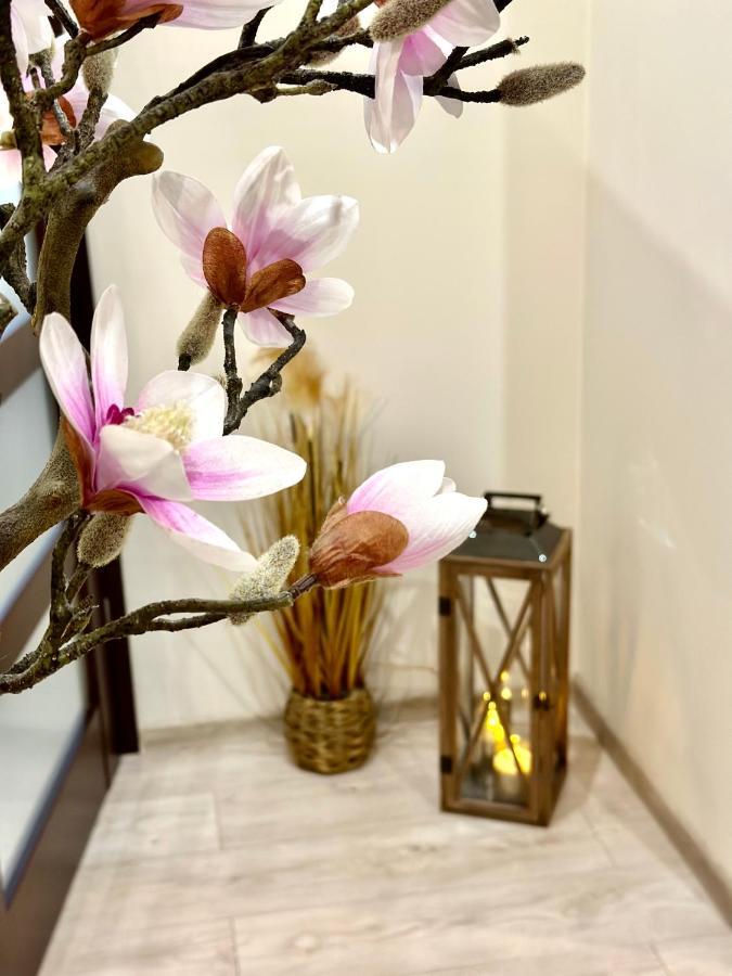 Apartament "Marka" 皮拉 外观 照片