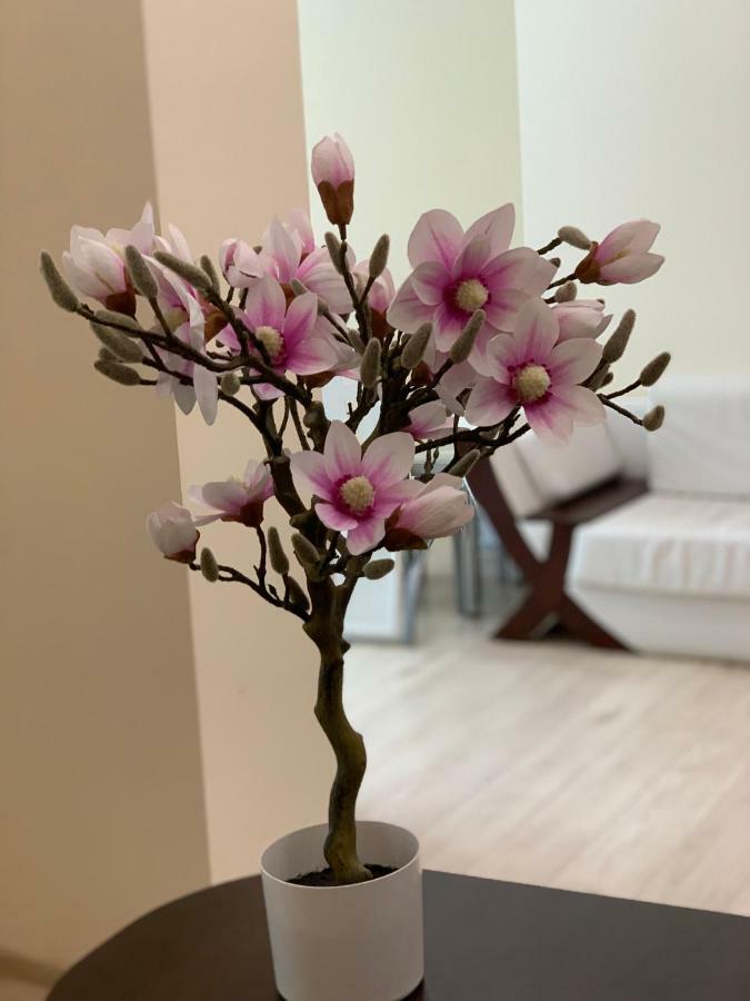 Apartament "Marka" 皮拉 外观 照片